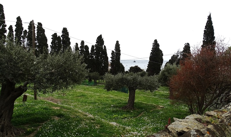 Οι εφοπλιστές αναβαθμίζουν τον τουρισμό της Άνδρου: το κτήμα που λίγοι ήξεραν...