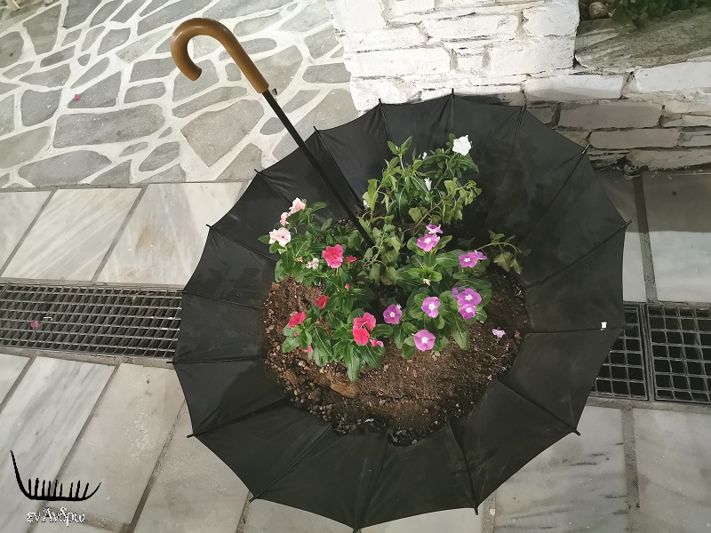 Σκηνές ονειρικές της καλοκαιρινής Χώρας Άνδρου