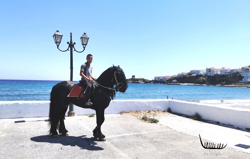 Μαύρο άλογο στο Νειμποριό!!!