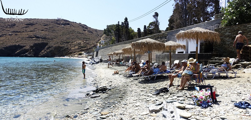 Βότσαλο: Μοναδικό αγροτουριστικό συγκρότημα με την μεγαλύτερη κολοκύθα της Άνδρου! 