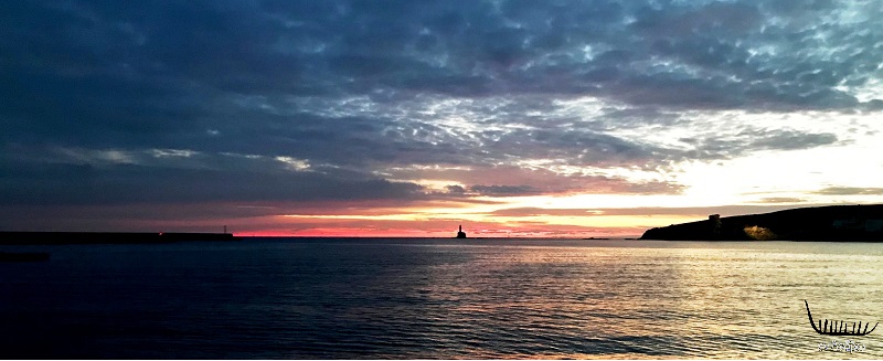 ΕΞΩΔΙΚΟ ΚΑΤΑ ΤΡΑΝΑΚΟΥ & ΣΟΥΣΟΥΔΗ: Ή, όταν πολιτική υποκαθίσταται από ύβρεις και άθλιους υπαινιγμούς...