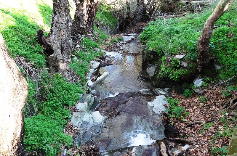ΘΕΟΦΑΝΕΙΑ: Το ποτάμι που μας χωρίζει είναι και το ποτάμι που μας ενώνει. 