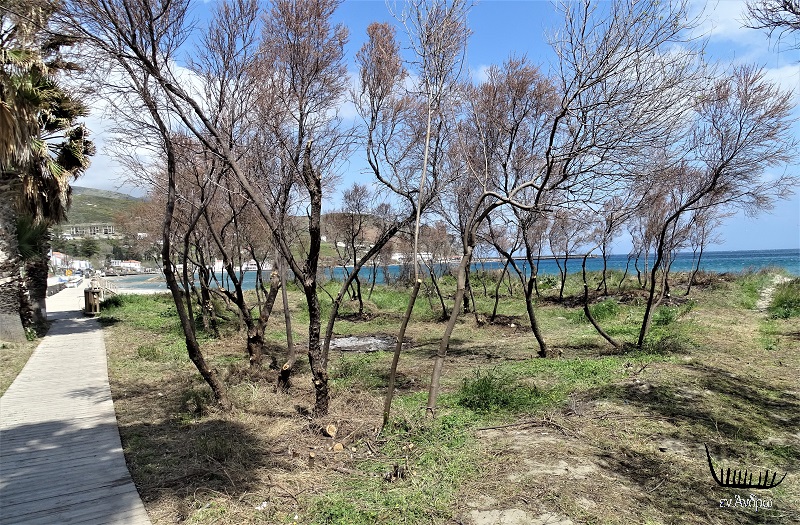 Ένα πάρκο στο... Νειμποριό!!! 