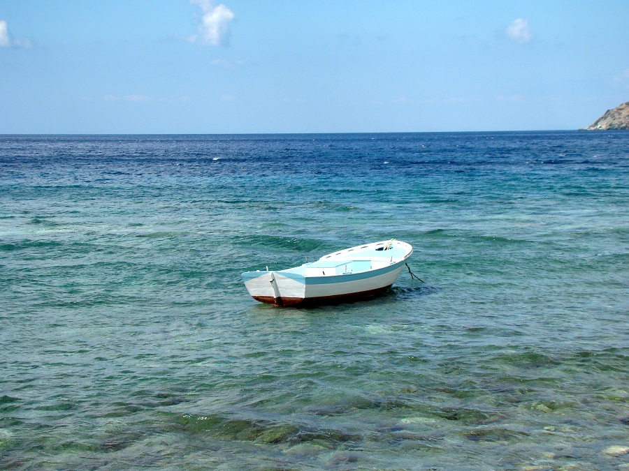 Καταφύγιο για φώκιες η Άνδρος!!! Αποικίες στο νησί…