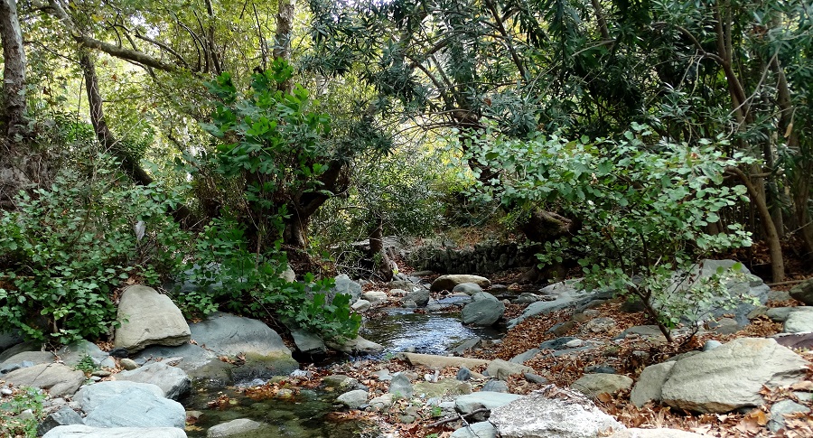 Λιμνοδεξαμενές: μια σπουδαία λύση για τα νερά της Άνδρου