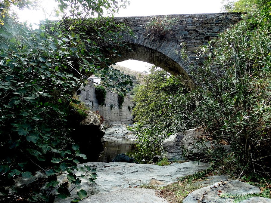 Μια βροχή μας σώζει... SOS για το νερό και στην Άνδρο