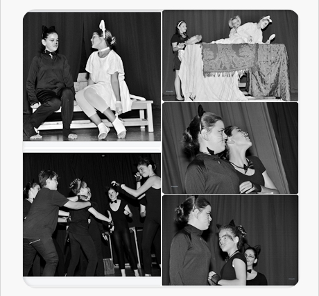 ΓΙΑ ΜΙΚΡΟΥΣ & ΜΕΓΑΛΟΥΣ: Ο τελευταίος μαύρος γάτος