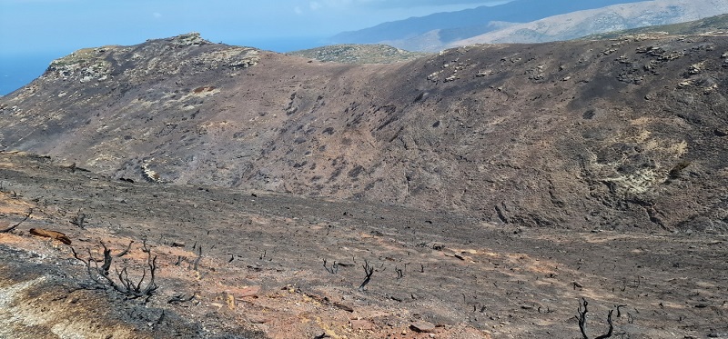 Δήμος και Επαρχείο ξεκίνησαν αγώνα δρόμου για την στήριξη πυρόπληκτων περιοχών και κατοίκων