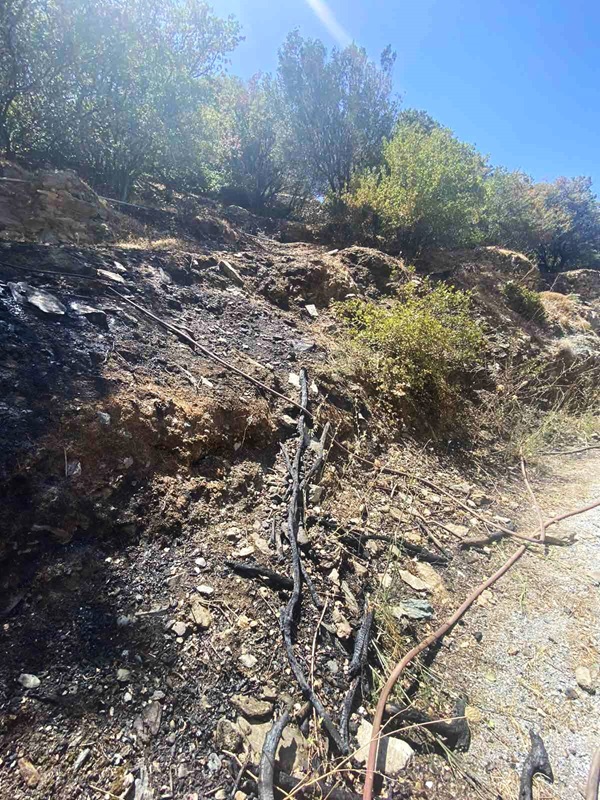 Ευτυχώς πρόλαβαν την φωτιά στ' Αηδόνια