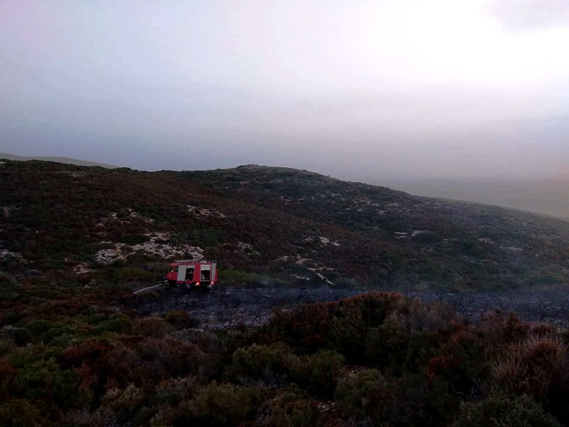 Η φωτιά στην Πλούσκα έσβησε το πρωί. Κάηκαν πάνω από 1.000 στρέμματα πρασίνου. Φωτογραφίες & βίντεο.
