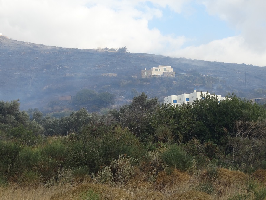 Ας μιλήσουν όσοι γνωρίζουν για τις πυρκαγιές…