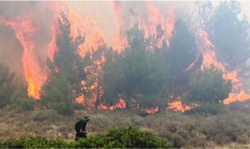 ΚΑΘΑΡΙΣΜΟΣ ΟΙΚΟΠΕΔΩΝ - ΣΥΣΤΑΣΕΙΣ ΚΑΙ ΑΠΑΓΟΡΕΥΣΕΙΣ ΠΥΡΟΣΒΕΣΤΙΚΗΣ