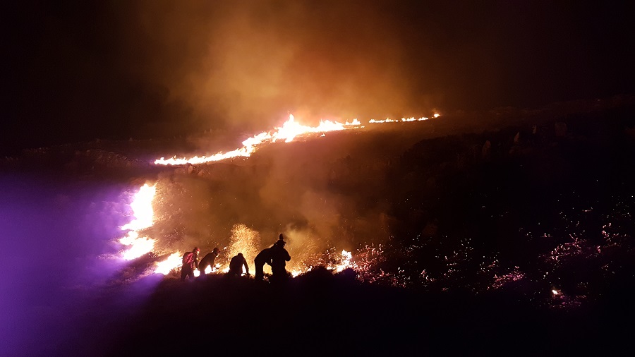 Κάηκαν απόψε 100 στρέμματα στην Καπαριά