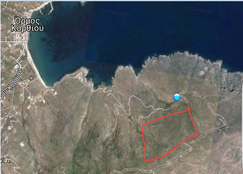 Φωτιά στον Άγιο Τρύφωνα Κορθίου