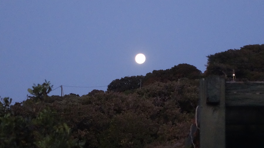 ΑΝΔΡΟΣ: Να μπορούσα στα σύννεφα να 'χα εγώ βενζινάδικο!...