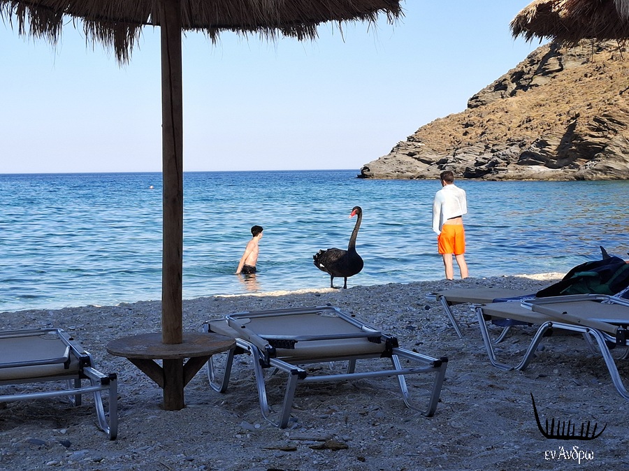 ΠΡΟΣΟΧΗ: Δέκα πράγματα που πρέπει να προσέχεις όταν κολυμπάς στη θάλασσα