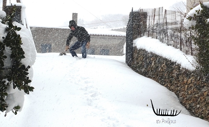 Snowboard στο Άνω Υψηλού!!! Και χιόνια στο Κόρθι...