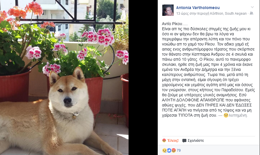 Σοβαρή καταγγελία για ομαδική θανάτωση ζώων στην Άνδρο