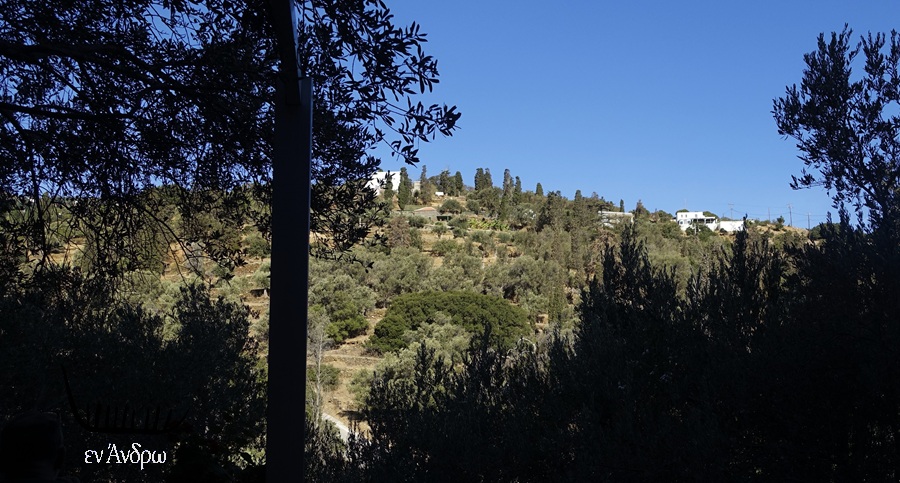 ΟΙ ΕΚΠΡΟΘΕΣΜΟΙ, Η ΝΑTURA, Η ΣΥΝΑΙΝΕΣΗ: Αυτοσχεδιασμοί 