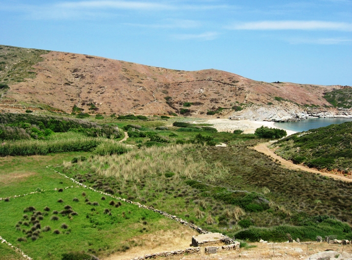 Τα δάση των σκλήθρων και το Life