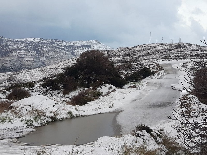 ΔΗΜΟΣ ΑΝΔΡΟΥ: 