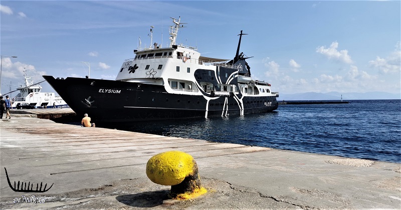 ΡΑΦΗΝΑ: Δύο μικρές εκπλήξεις Κυριακή πρωί...