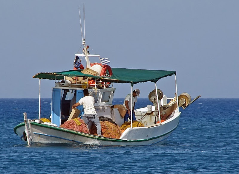 Βαριές ποινές σε όσους ψαρεύουν παράνομα. Προσοχή στα τοξικά ψάρια.