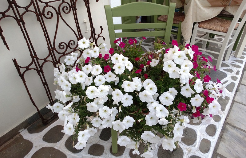 Νειμποριός και Παραπόρτι: νέες ιδέες για καλοκαίρι...