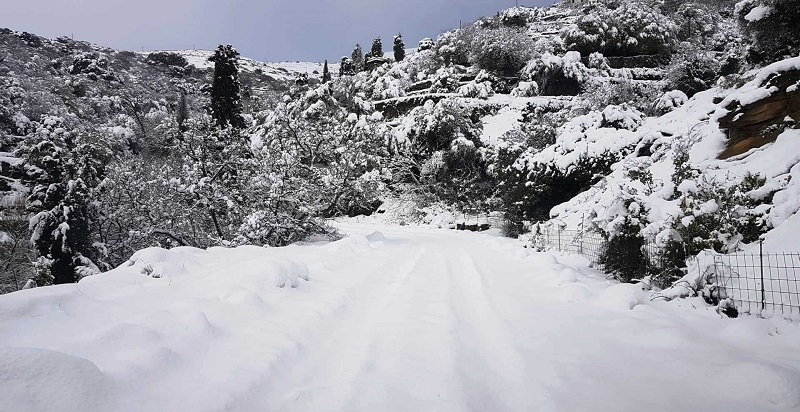 8/1/19: Στην Άνδρο οι δρόμοι σχεδόν αδιάβατοι από το χιόνι...