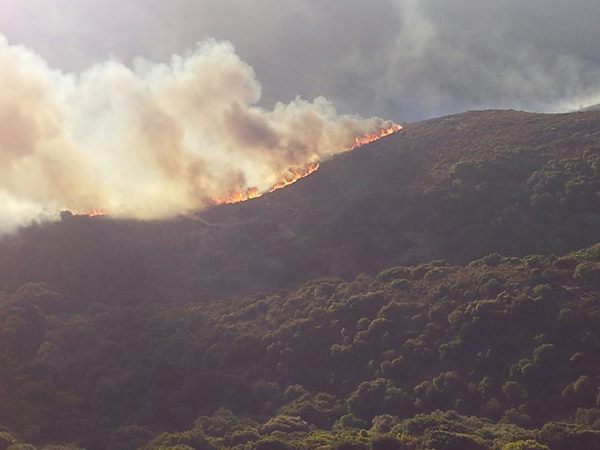 Για τις φωτιές στην Άνδρο