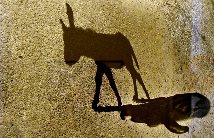 Μια διαφορετική φωτογραφική έκθεση στην Καΐρειο Βιβλιοθήκη