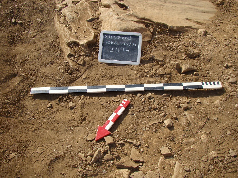 Σχόλια για το δημοσίευμα του Στρόφιλα ή έτσι τελειώνει ο κόσμος όχι με έναν πάταγο, αλλά με ένα λυγμό...