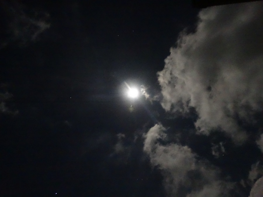 Εικόνες μιας περιδιάβασης στην Άνδρο του χειμώνα