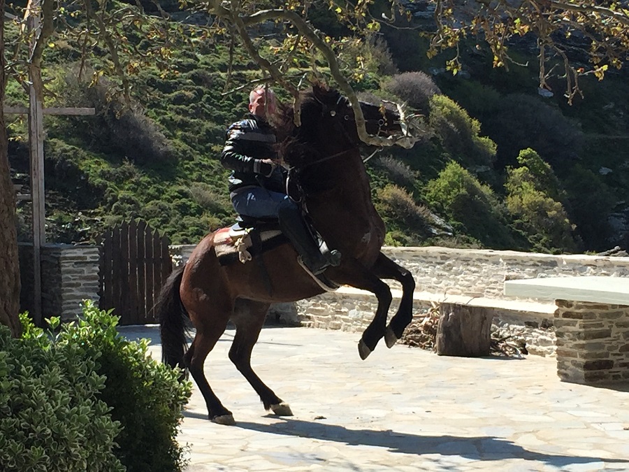 Ο Ιππικός Όμιλος Άνδρου στην Μονή Παναχράντου (φωτορεπορτάζ)