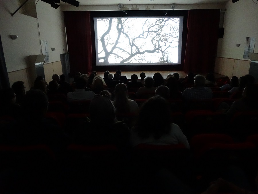 Οι παραδοσιακοί μουσικοί της Άνδρου