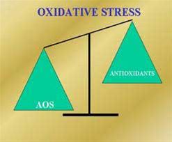 Το 6ο διεθνές ιατρικό συνέδριο για το  οξυδωτικό στρες στην Άνδρο