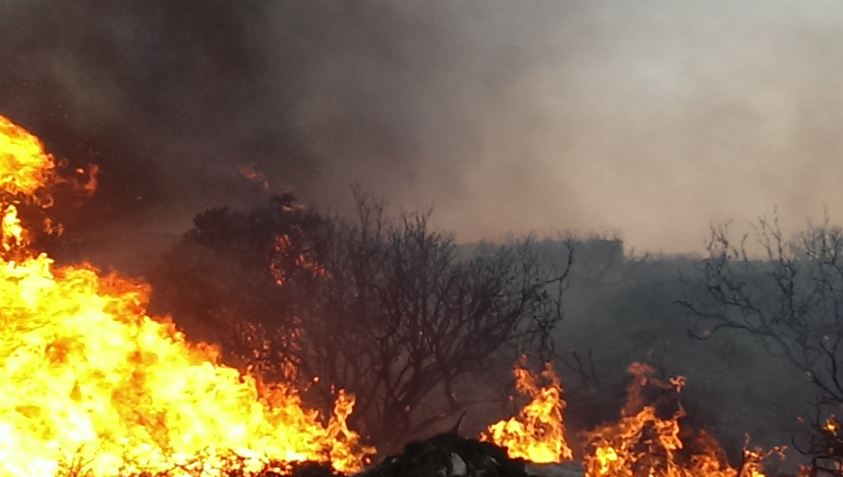 Την προλάβαμε ακόμα μια φορά!