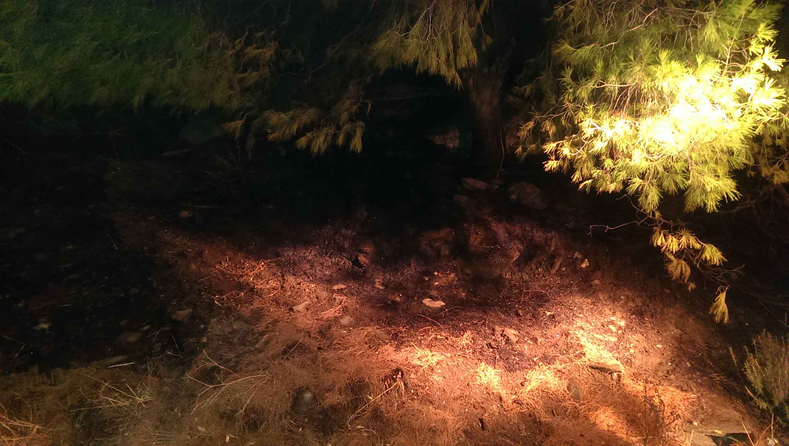 Εμπρησμός στον Πιτροφό