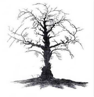 Anti-Alzheimer Exercise...